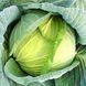 Семена Капусты Харьковская (1г), For Hobby, TM GL Seeds 600358 фото 1