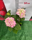 Гортензія "Pink Wonder" 7804320 фото 3