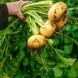 Сторінка: 48 Каталог продукції — купити Головна в інтернет